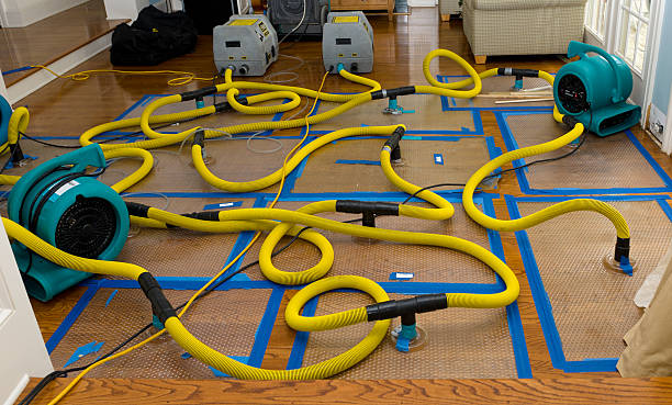 Professional Structural Drying And Dehumidification technician working in Silver Lake, NJ